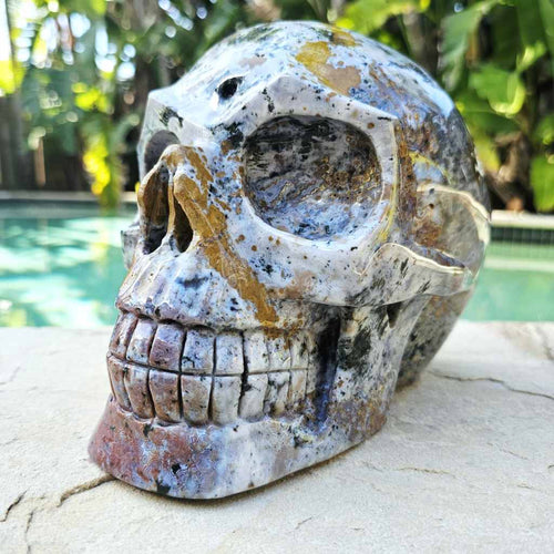 Ocean Jasper Extra Large Skull | The Archivist