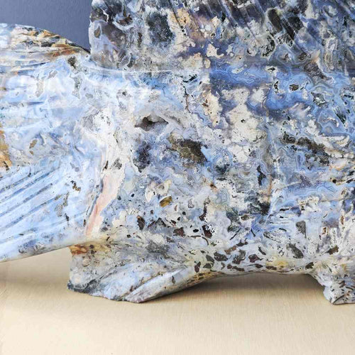 Ocean Jasper Fish | The Deepcurrent Guide