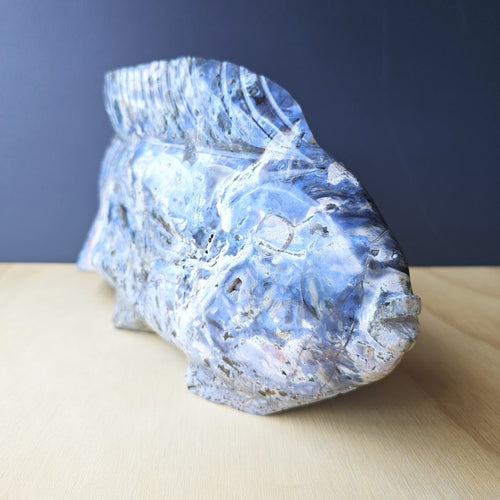 Ocean Jasper Fish | The Deepcurrent Guide