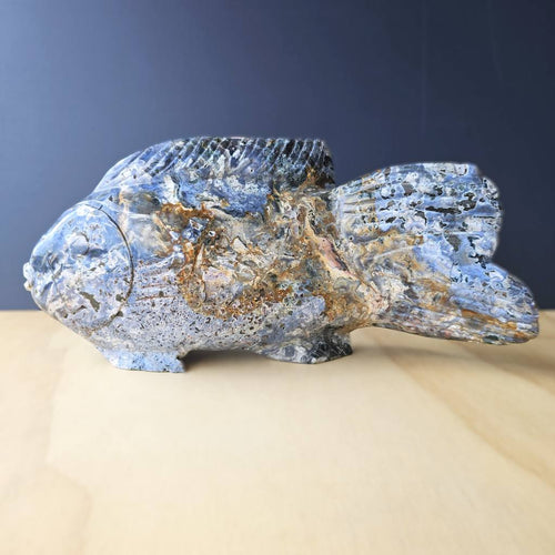 Ocean Jasper Fish | The Deepcurrent Guide