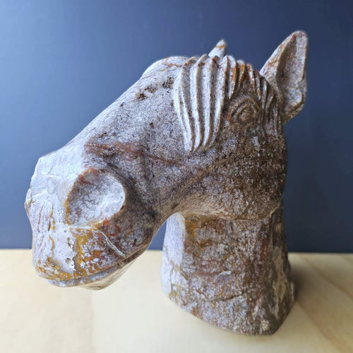 Ocean Jasper Horse | Earthbound Spirit