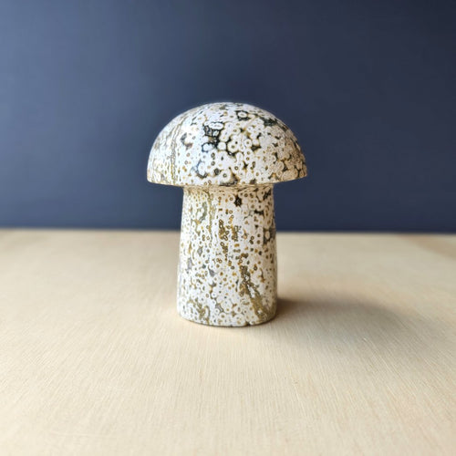 Ocean Jasper | Mushroom 257gms