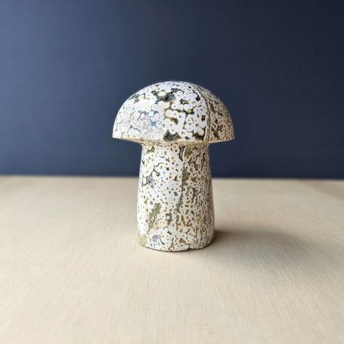 Ocean Jasper | Mushroom 257gms