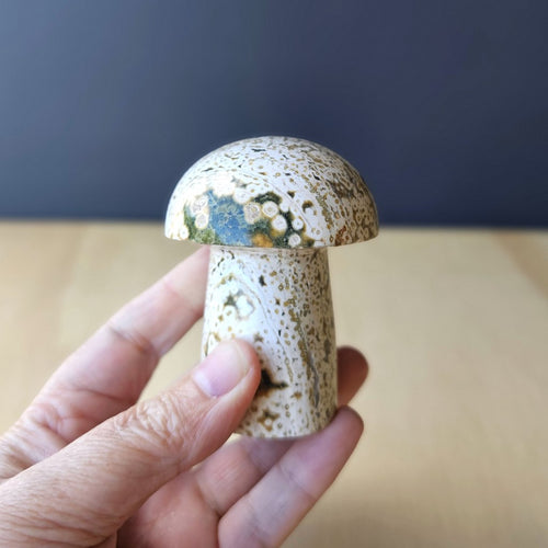 Ocean Jasper | Mushroom 257gms