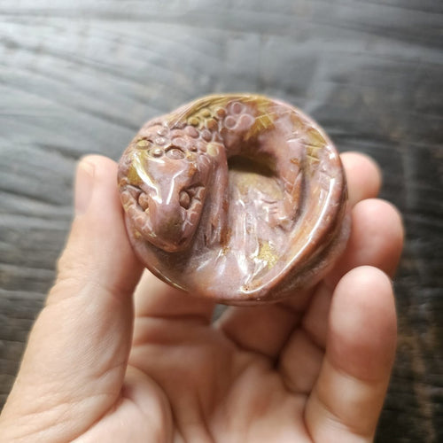 Ocean Jasper Salamander Carving 67g