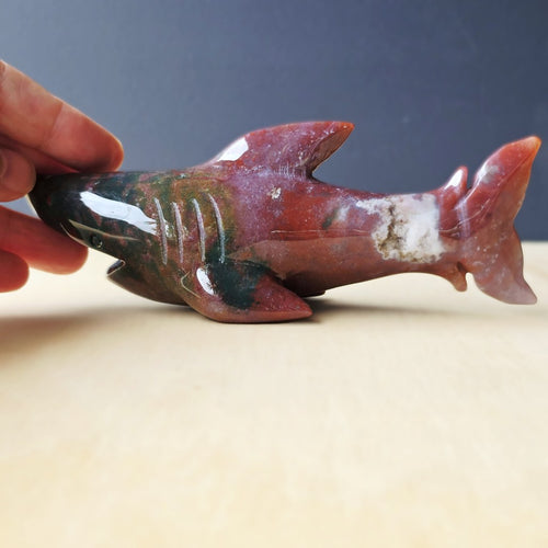 Ocean Jasper Shark 367gms