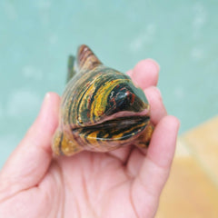 Ocean Jasper Shark 392gms