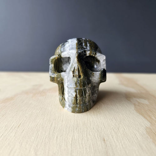 Ocean Jasper Skull Carving | Tranquil Guardian of The Deep