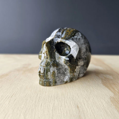 Ocean Jasper Skull Carving | Tranquil Guardian of The Deep