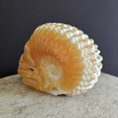Orange Calcite Ammonite Skull | Guardian Of The Ocean