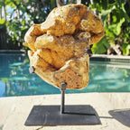 Orbicular Agate with Orange Druzy Chalcedony | Specimen