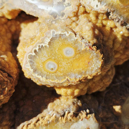 Orbicular Agate with Orange Druzy Chalcedony | Specimen