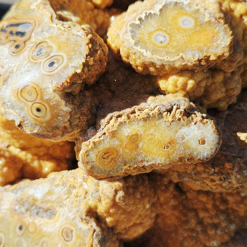 Orbicular Agate with Orange Druzy Chalcedony | Specimen