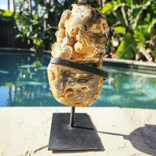 Orbicular Agate with Orange Druzy Chalcedony | Specimen