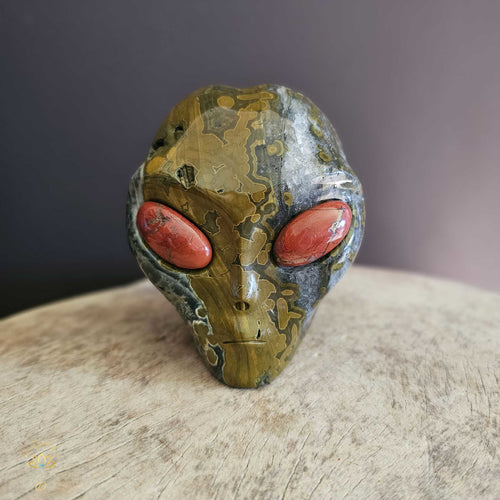 Orbicular Ocean Jasper Alien Skull | Guardian Of Transcendence