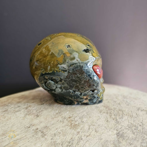 Orbicular Ocean Jasper Alien Skull | Guardian Of Transcendence