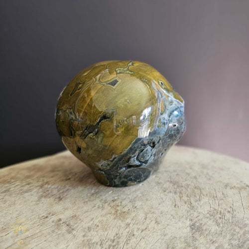 Orbicular Ocean Jasper Alien Skull | Guardian Of Transcendence