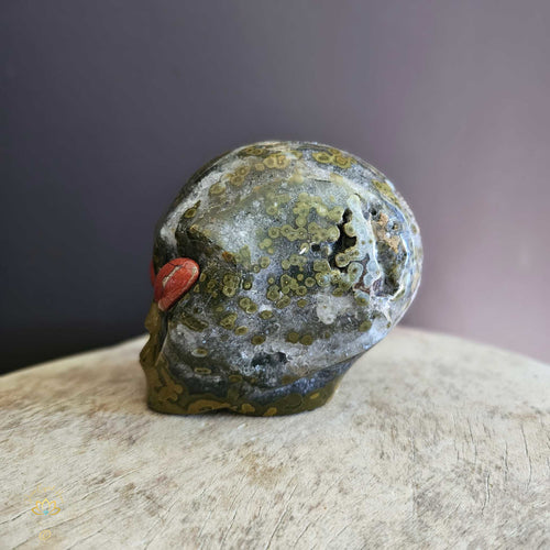 Orbicular Ocean Jasper Alien Skull | Guardian Of Transcendence