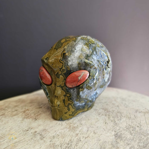 Orbicular Ocean Jasper Alien Skull | Guardian Of Transcendence