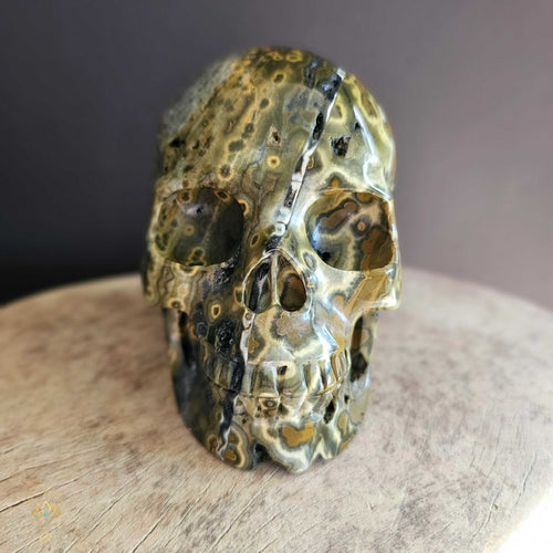 Orbicular Ocean Jasper Skull | Guardian Of Atlantis