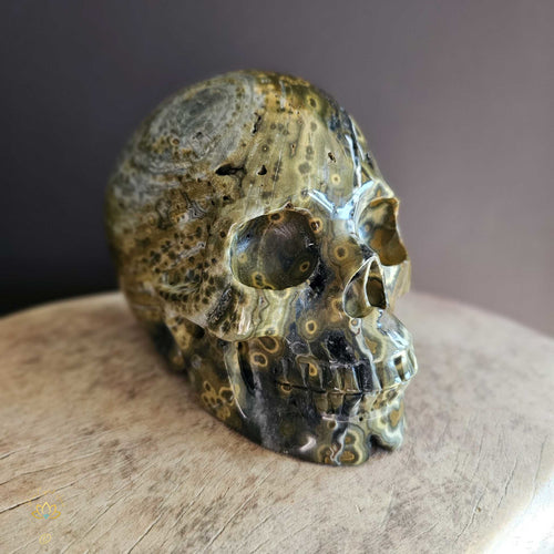 Orbicular Ocean Jasper Skull | Guardian Of Atlantis