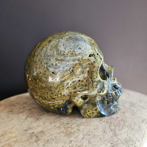 Orbicular Ocean Jasper Skull | Guardian Of Atlantis