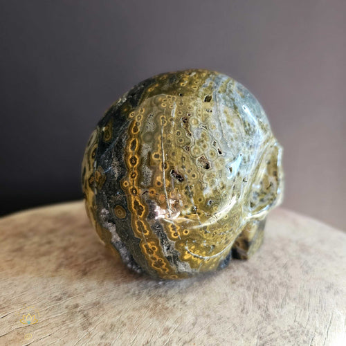 Orbicular Ocean Jasper Skull | Guardian Of Atlantis