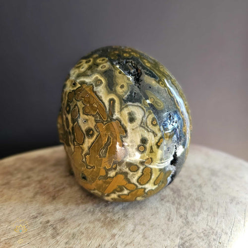 Orbicular Ocean Jasper Skull | Guardian Of Atlantis