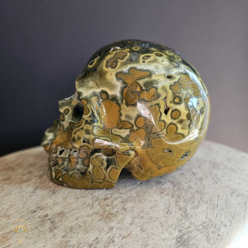 Orbicular Ocean Jasper Skull | Guardian Of Atlantis