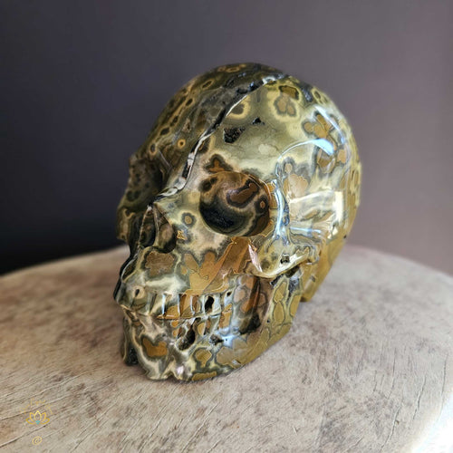 Orbicular Ocean Jasper Skull | Guardian Of Atlantis