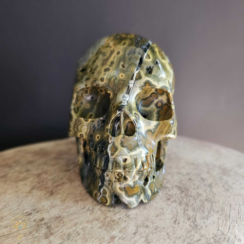 Orbicular Ocean Jasper Skull | Guardian Of Atlantis