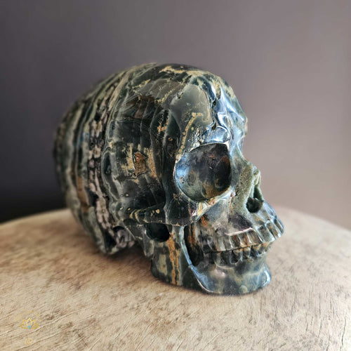 Orbicular Ocean Jasper Skull | Guardian Of Expansion