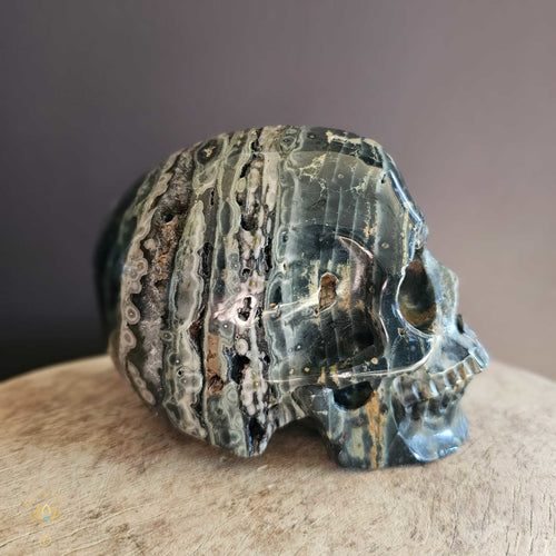 Orbicular Ocean Jasper Skull | Guardian Of Expansion