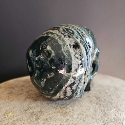 Orbicular Ocean Jasper Skull | Guardian Of Expansion