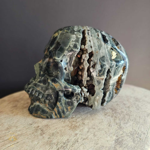 Orbicular Ocean Jasper Skull | Guardian Of Expansion