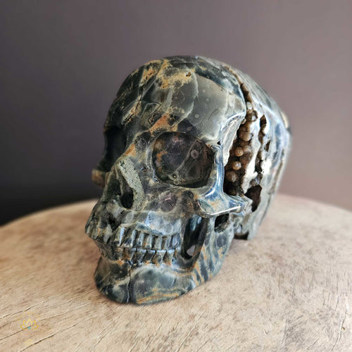 Orbicular Ocean Jasper Skull | Guardian Of Expansion