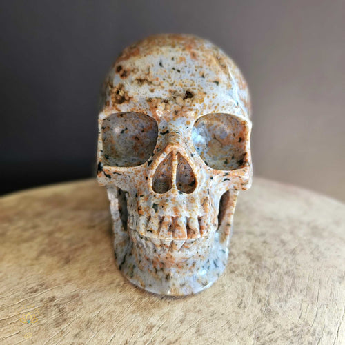 Orbicular Ocean Jasper Skull | Guardian Of The Ocean