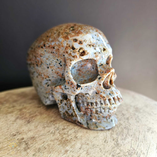 Orbicular Ocean Jasper Skull | Guardian Of The Ocean