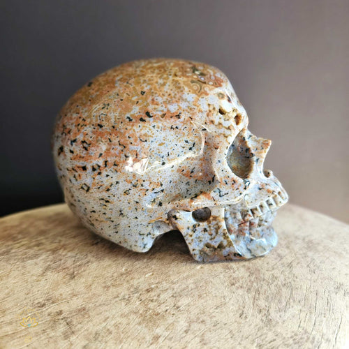 Orbicular Ocean Jasper Skull | Guardian Of The Ocean