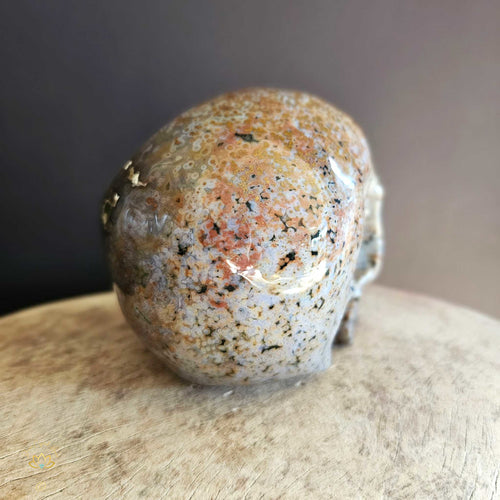 Orbicular Ocean Jasper Skull | Guardian Of The Ocean