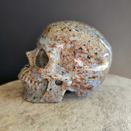 Orbicular Ocean Jasper Skull | Guardian Of The Ocean