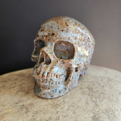 Orbicular Ocean Jasper Skull | Guardian Of The Ocean