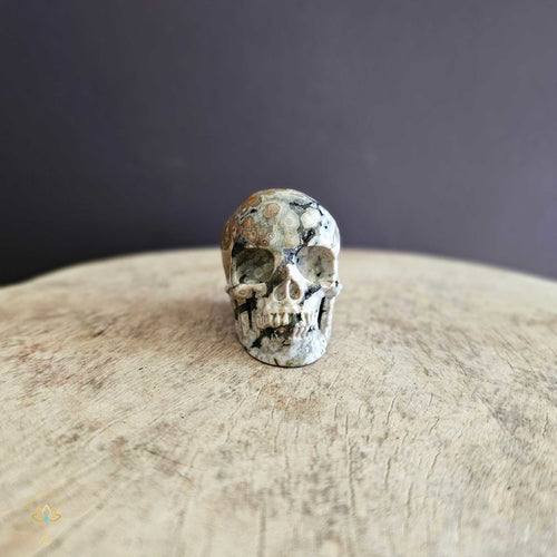 Orbicular Ocean Skull | Rhythmic Friend