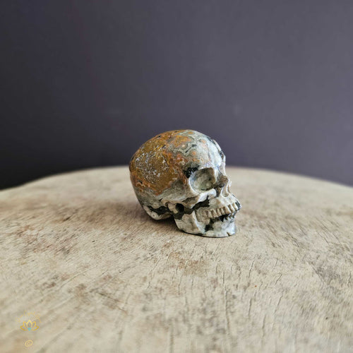 Orbicular Ocean Skull | Rhythmic Friend