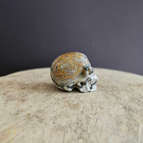 Orbicular Ocean Skull | Rhythmic Friend