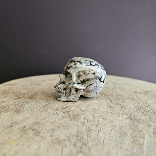 Orbicular Ocean Skull | Rhythmic Friend