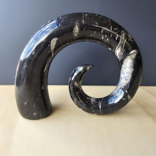 Orthoceras Fossil Carving | Ancient Signal
