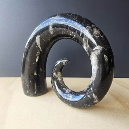 Orthoceras Fossil Carving | Ancient Signal