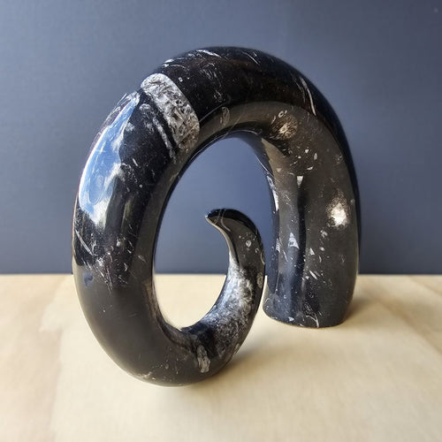Orthoceras Fossil Carving | Ancient Signal