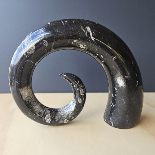 Orthoceras Fossil Carving | Ancient Signal